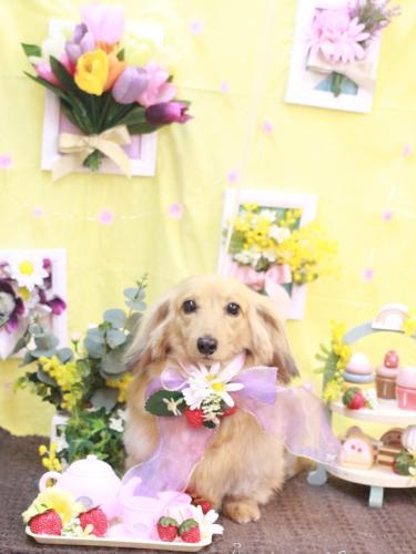 20230312モカちゃん